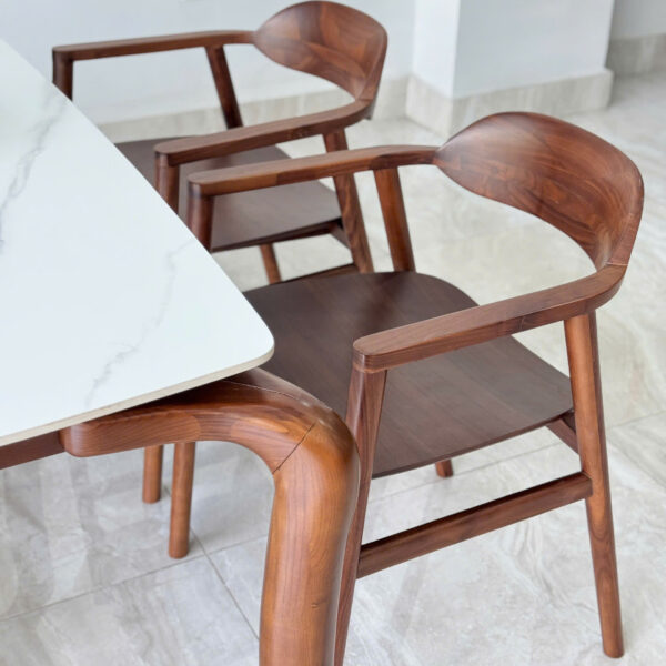 GHẾ ĂN ÓC CHÓ -OCW - Hình ảnh 2
