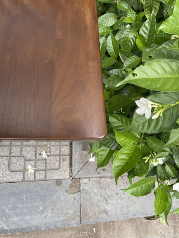 BỘ BÀN XUÂN HÈ - XH8G16W - Hình ảnh 8